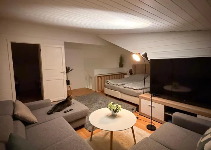 Recently Renovated House In The Heart Of Tromsdalen